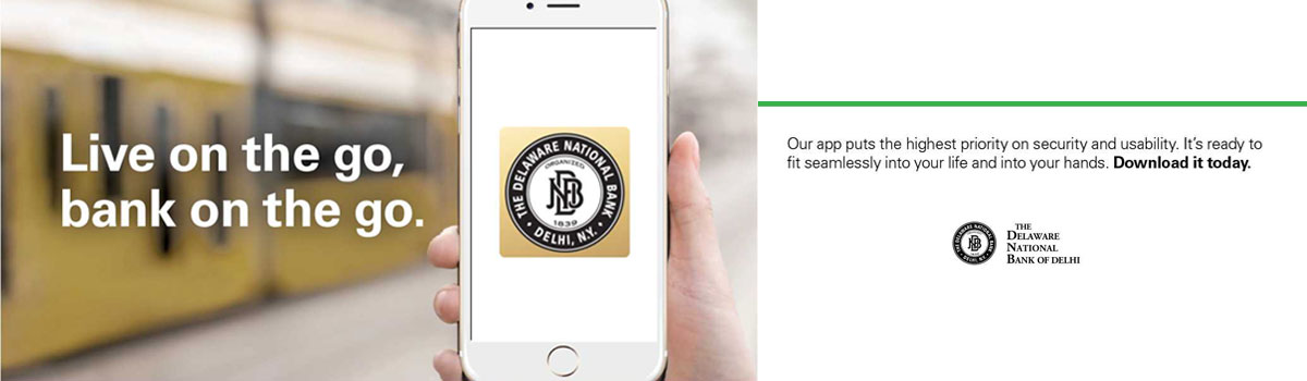 Bank on the Go with the DNBD Mobile App